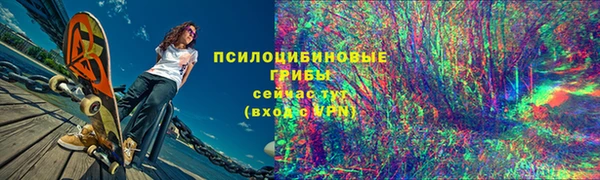 ПСИЛОЦИБИНОВЫЕ ГРИБЫ Вязьма